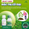 Thuốc trị cỏ dại