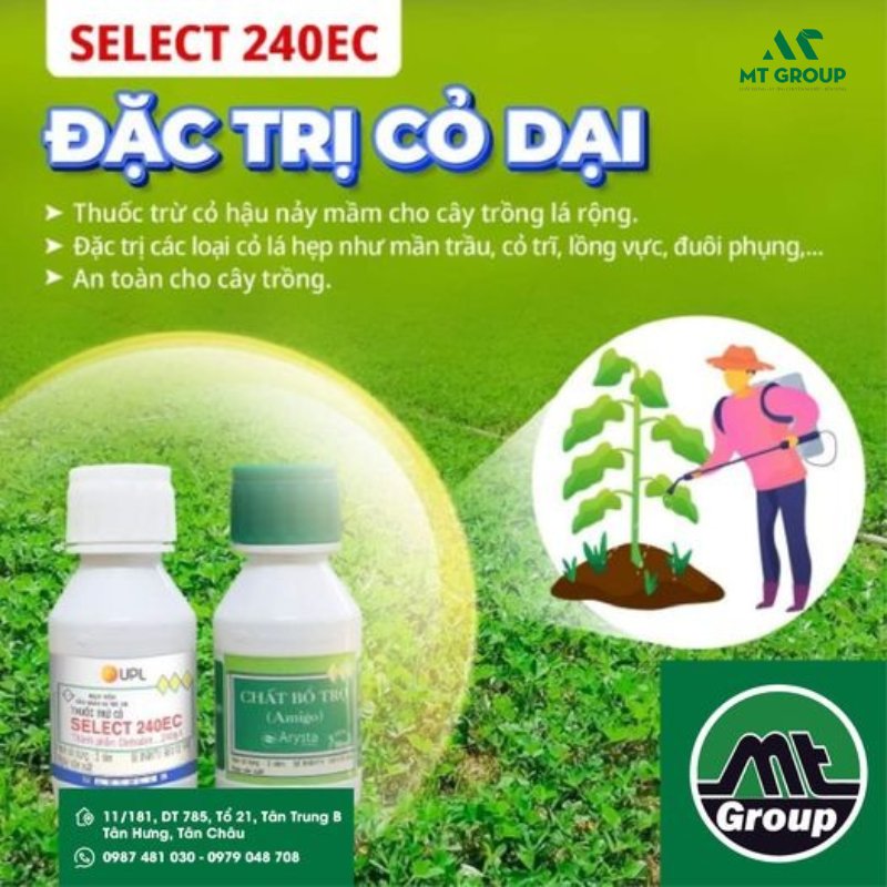 thuoc diet co tot nhat