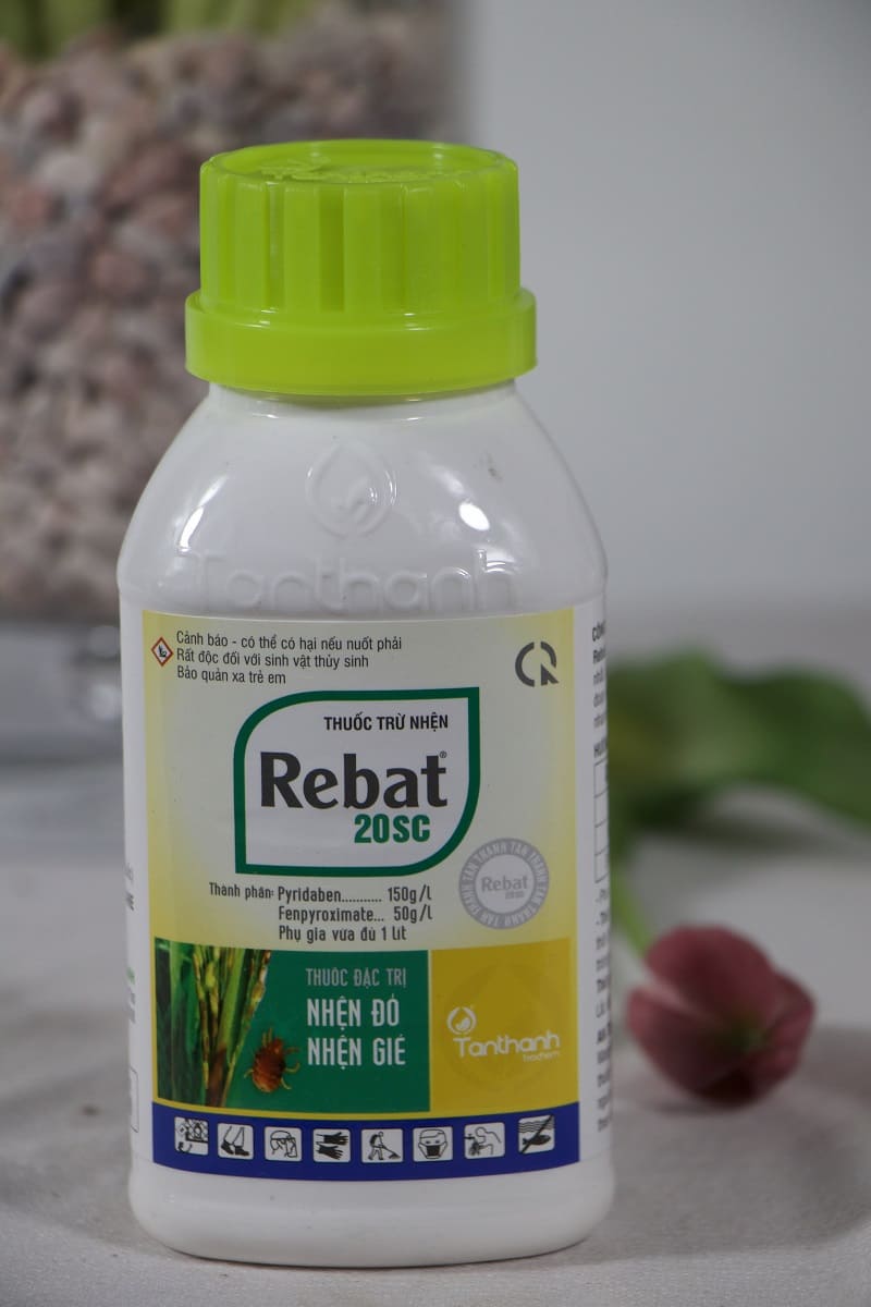 Thuốc nhện: Rebat