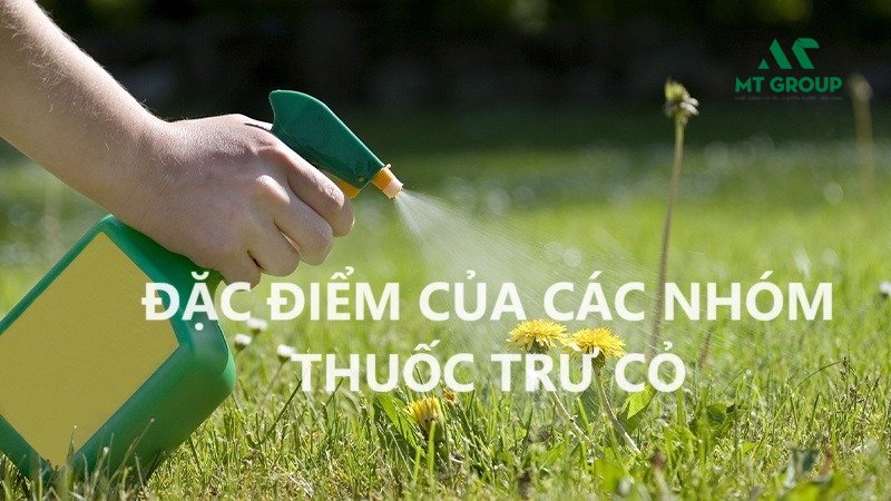 thuoc tru co hieu qua nhat 1