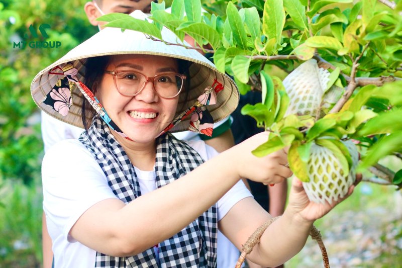 Trải nghiệm một ngày làm nông dân thu hoạch mãng cầu tại HTX DVNN Minh Trung tại tỉnh Tây Ninh