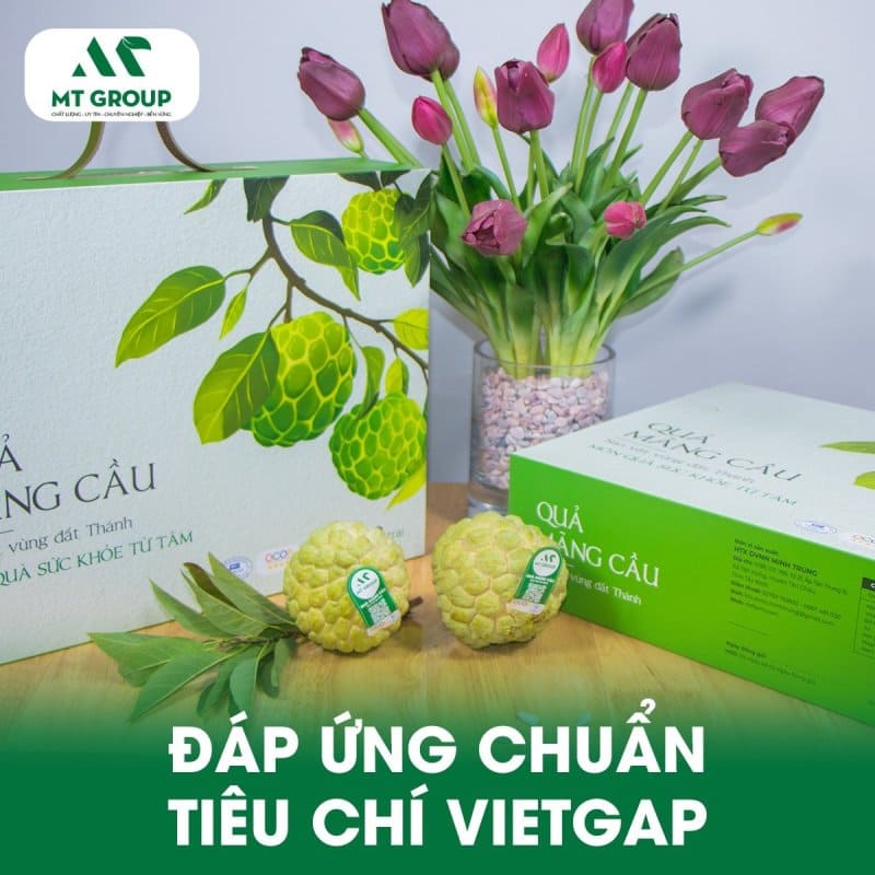 Bầu ăn mãng cầu na được không