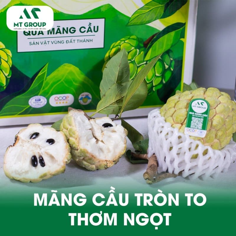 hop tac xa dich vu nong nghiep 5