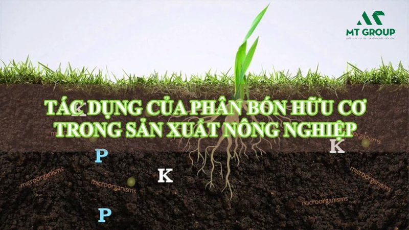 quy trinh san xuat phan huu co sinh hoc 2