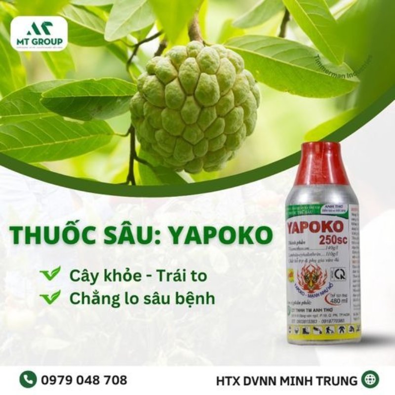 Thuốc trị rầy