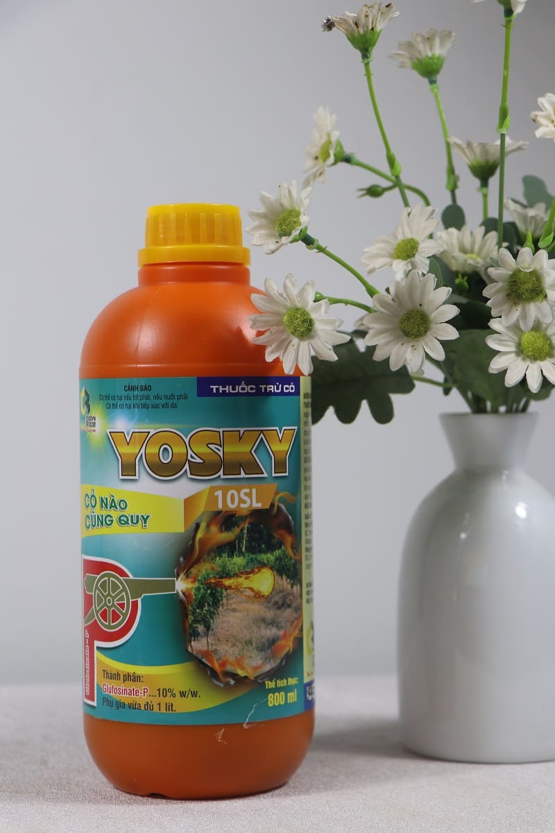 YOSKY 10SL 800ml